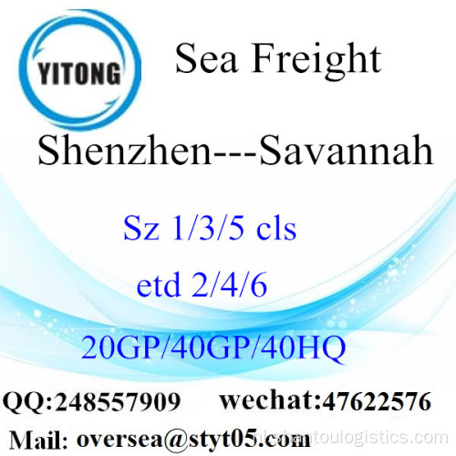 Shenzhen Haven Zee Vracht Verzending Naar Savannah